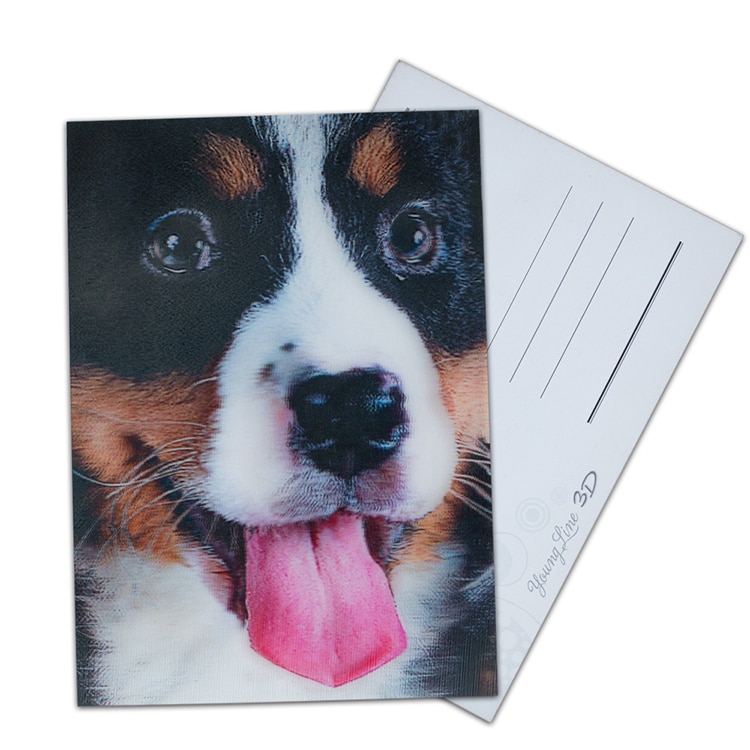 3d Lenticular Deep Effect Flip Effect Postcard — custom card printing