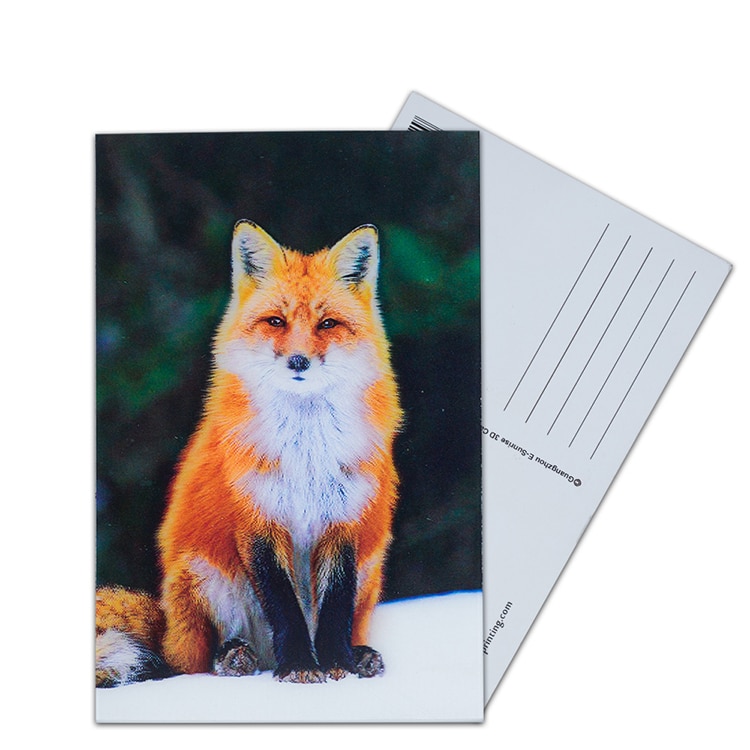 3d Lenticular Deep Effect Flip Effect Postcard view 2