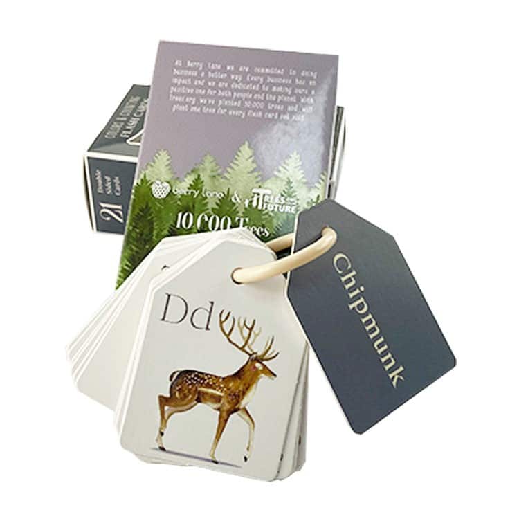 Custom Educational Flash Card Printing — custom card printing