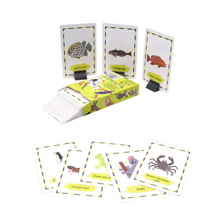 Custom Flash Education Game Card — custom card printing