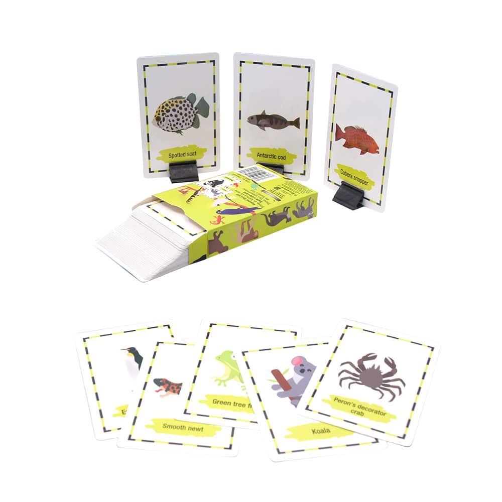 Custom Flash Education Game Card — custom card printing