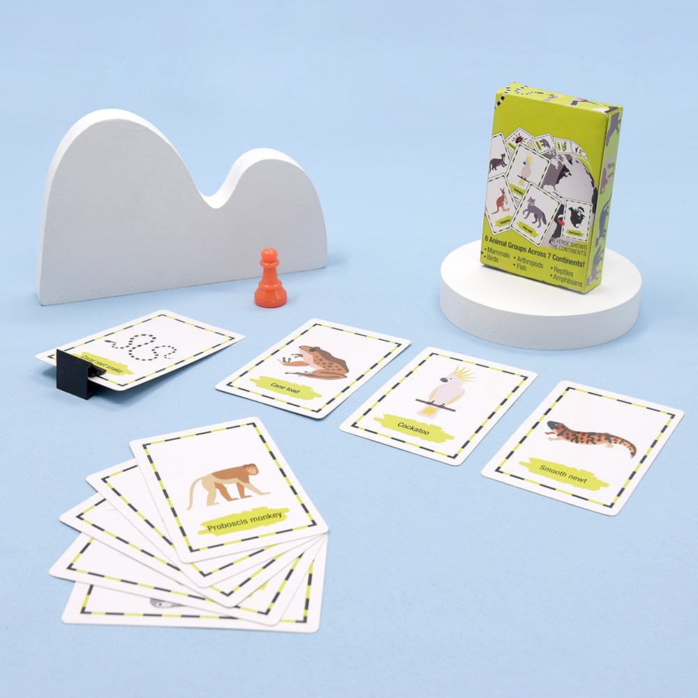 Custom Flash Education Game Card view 3
