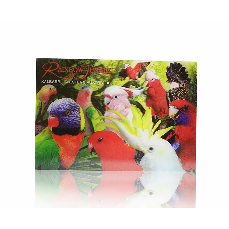 Custom Gift 3D Lenticular Post Card view 3