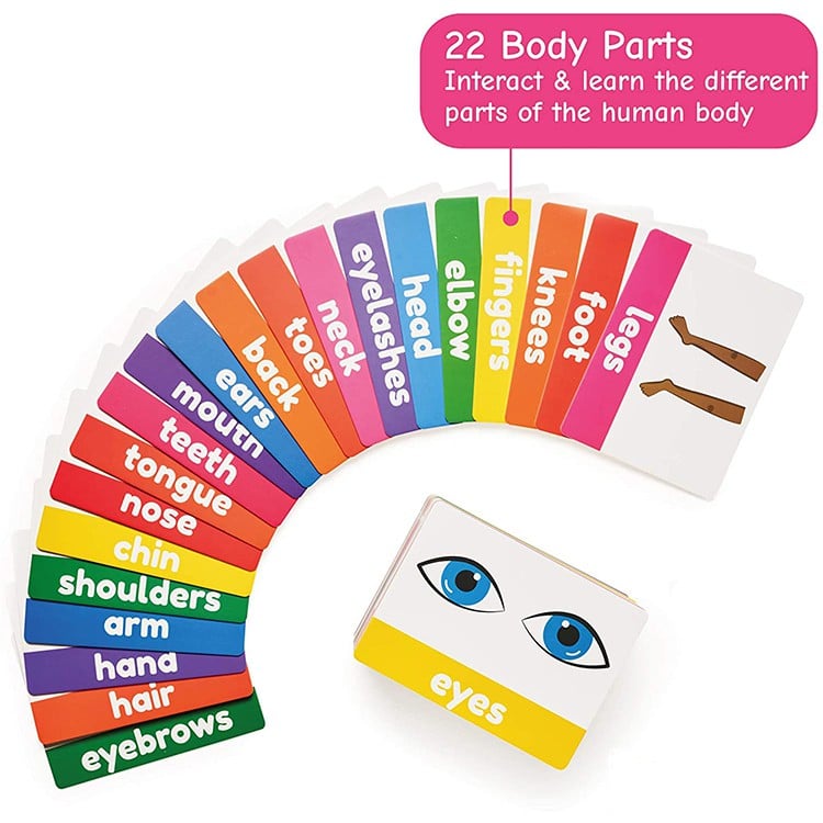 Custom Learning Flash Cards view 3
