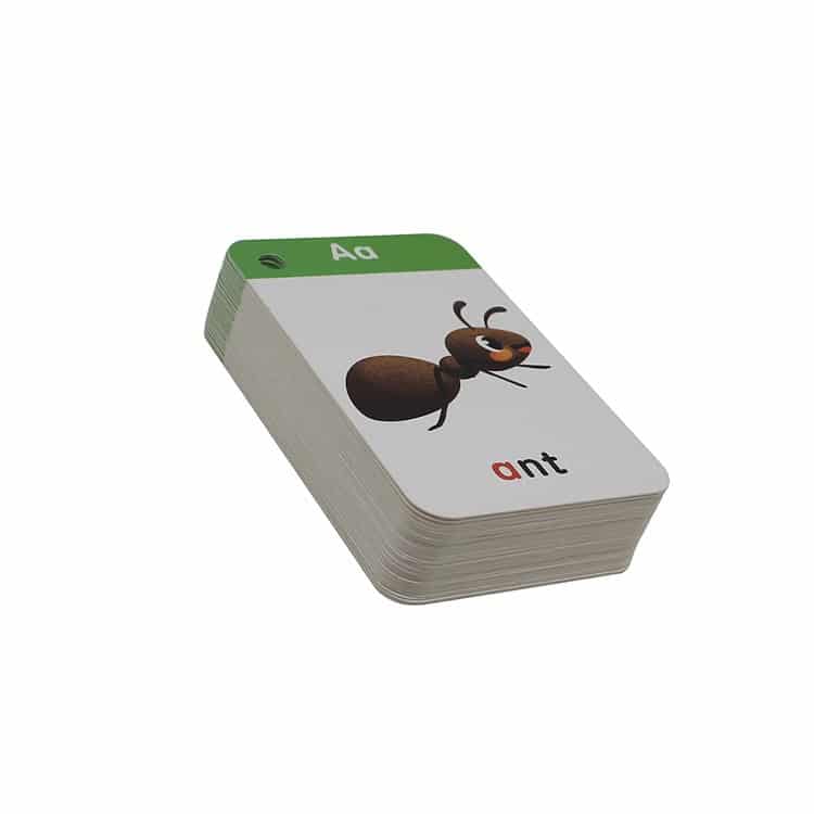 Custom study Flash Cards view 3