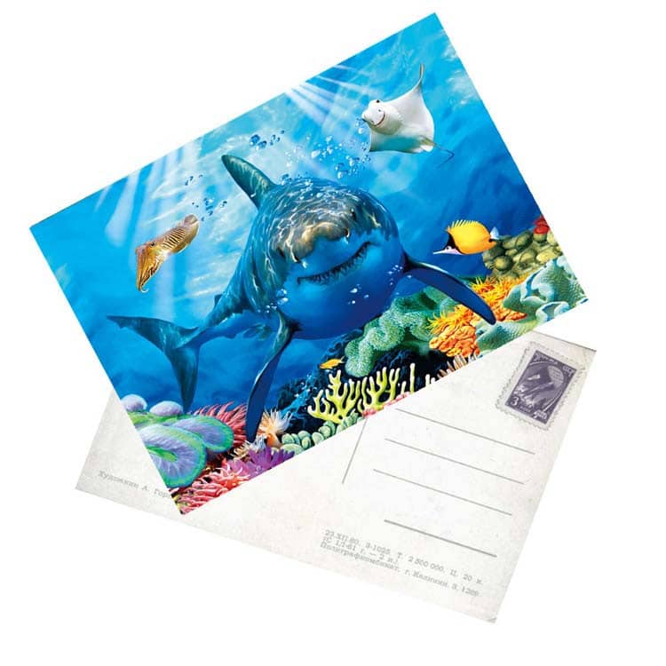 Customized souvenir flyer postcard — custom card printing