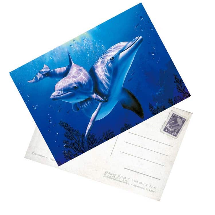 Customized souvenir flyer postcard view 2
