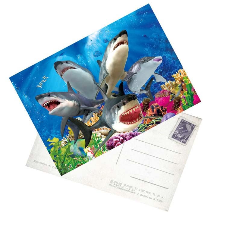Customized souvenir flyer postcard view 3