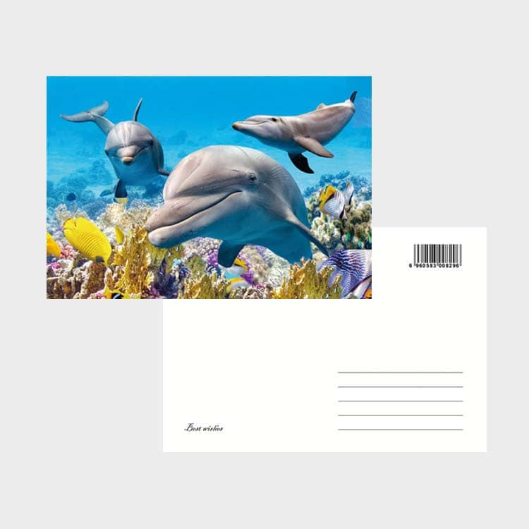 Customized souvenir flyer postcard view 4