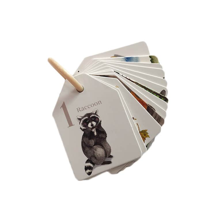 Kid Memory Card Game with Gift Box view 4