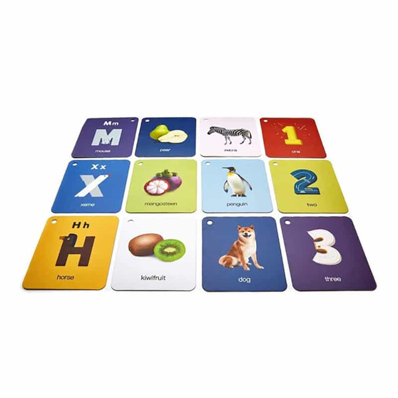 OEM Educational Playing Memory Cards view 3