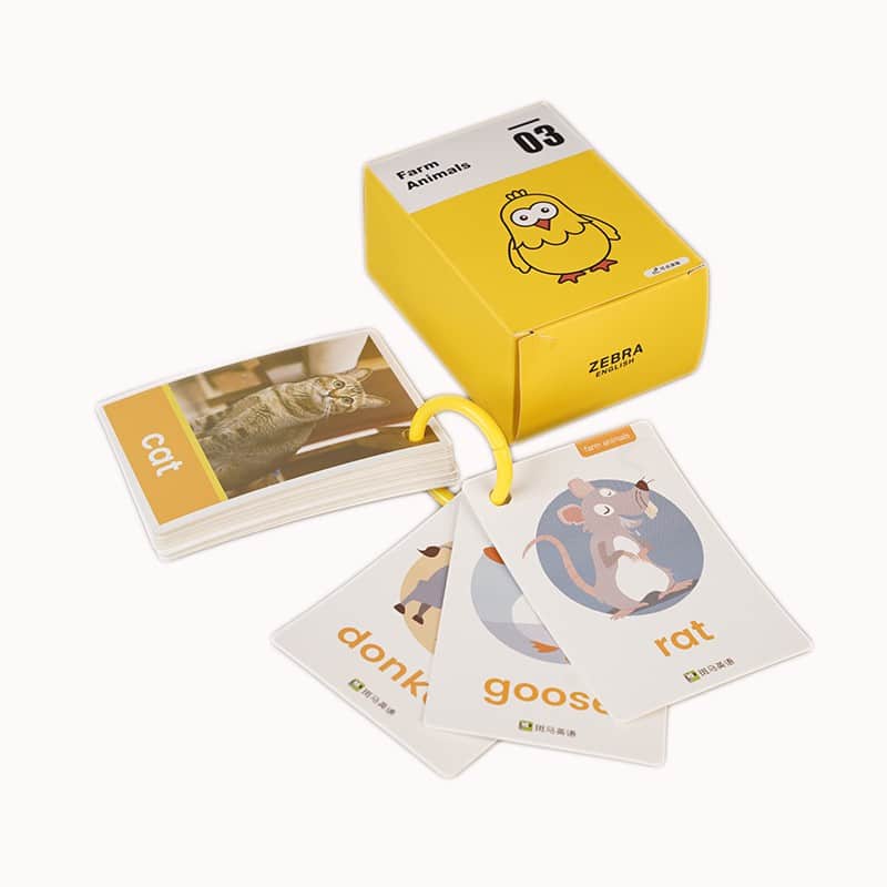 OEM educational flash cards with box — custom card printing