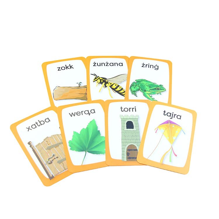 OEM educational flash cards with box view 2