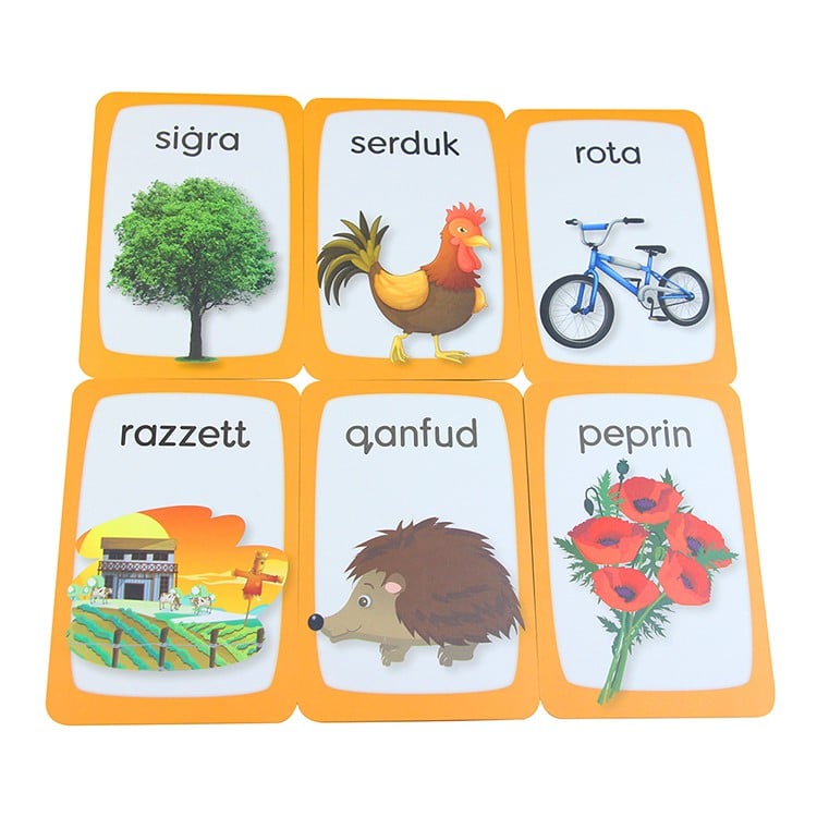 OEM educational flash cards with box view 3