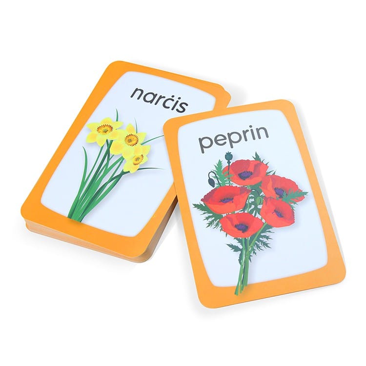 OEM educational flash cards with box view 4