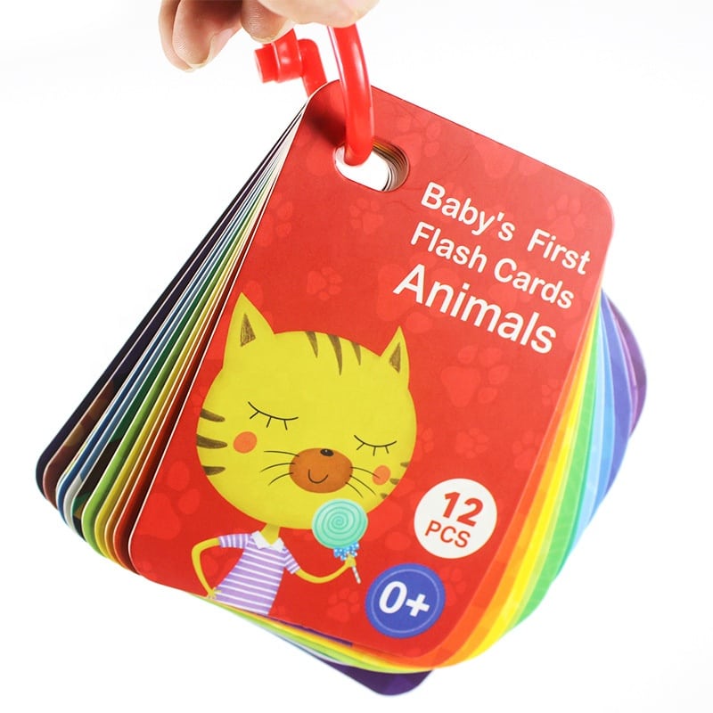 OEM english learning flash cards view 2