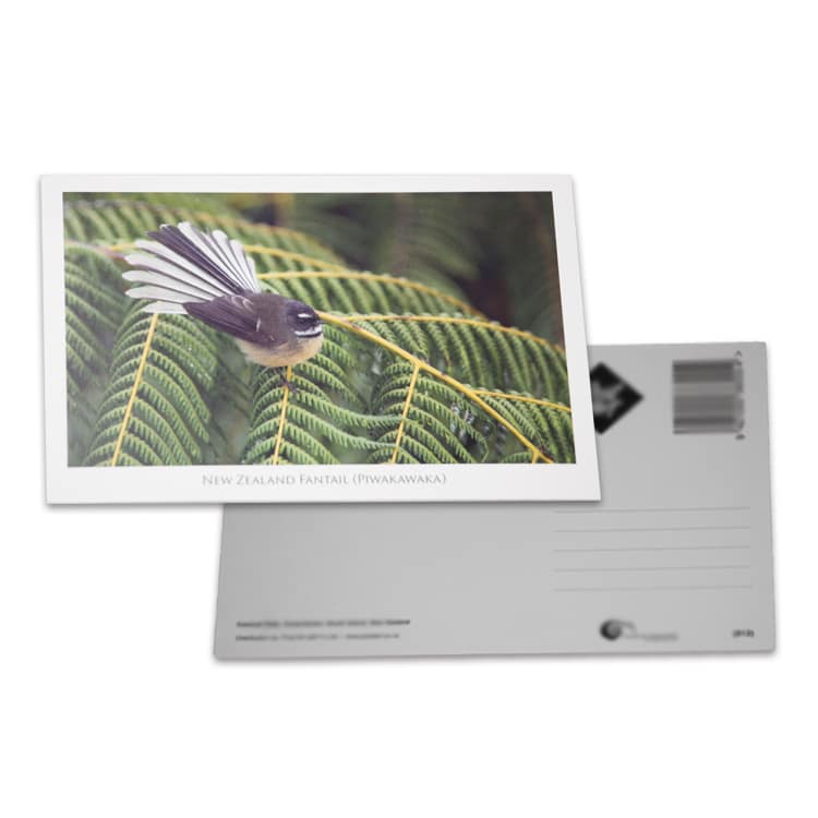 Printing 49inch writable Postcard view 2