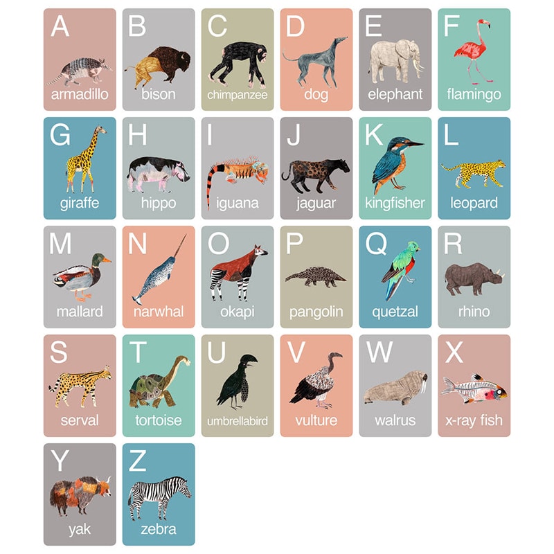 custom animal alphabet learning cards view 2